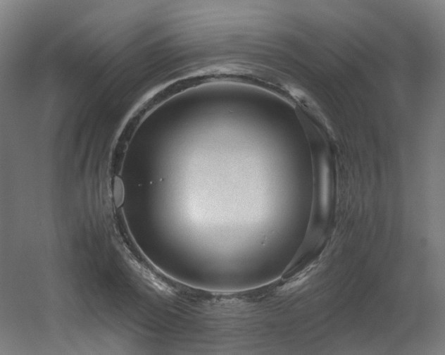 X0000060550784200511031215