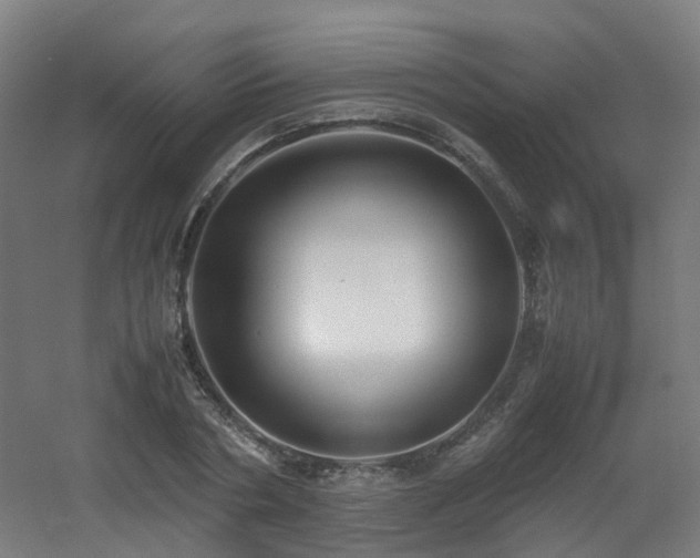 X0000060550786200511031215