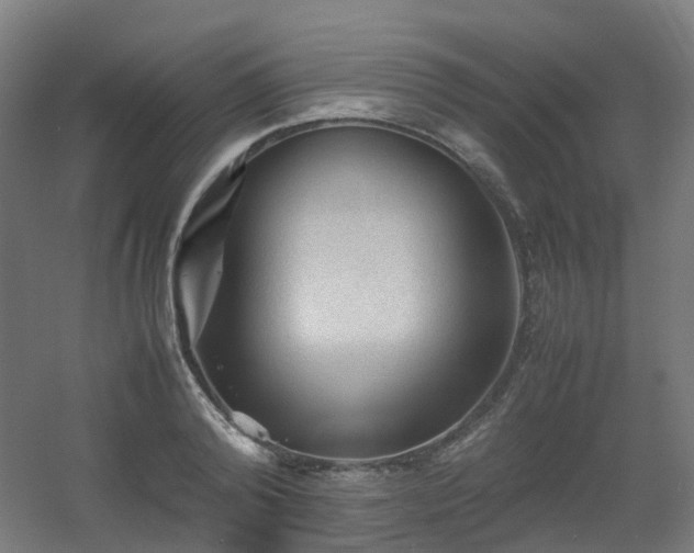 X0000060550792200511031215