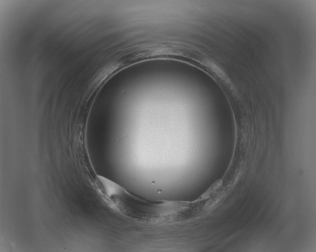 X0000060550793200511031215