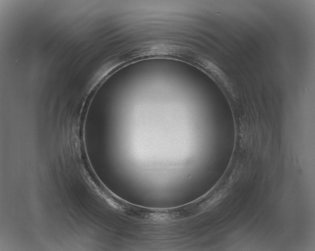 X0000060550794200511031215