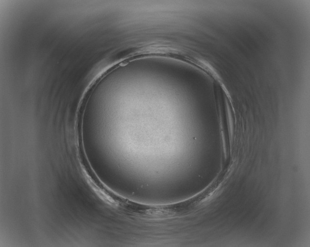 X0000060550795200511031215