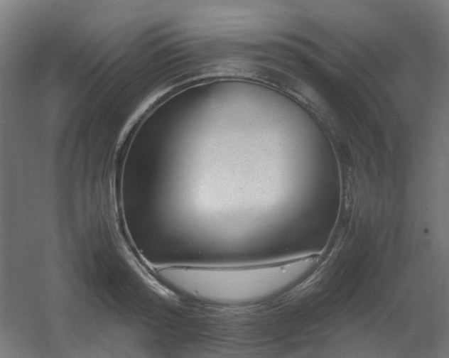X0000060550796200511031215