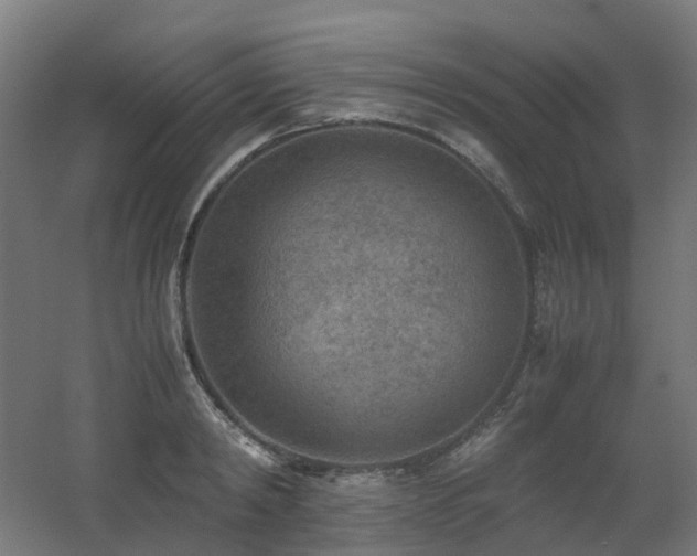 X0000060550798200511031215