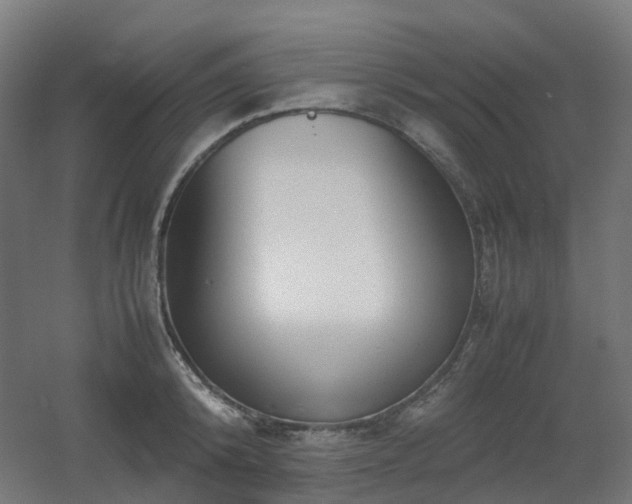 X0000060550800200511031215