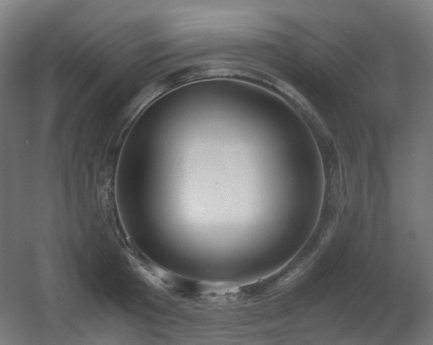 X0000060550801200511031215