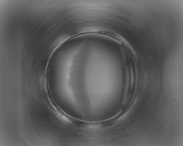 X0000060550802200511031215