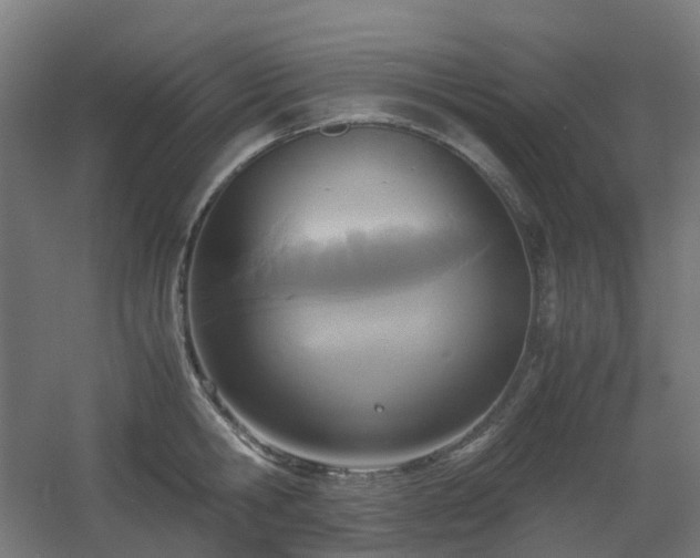 X0000060550806200511031215