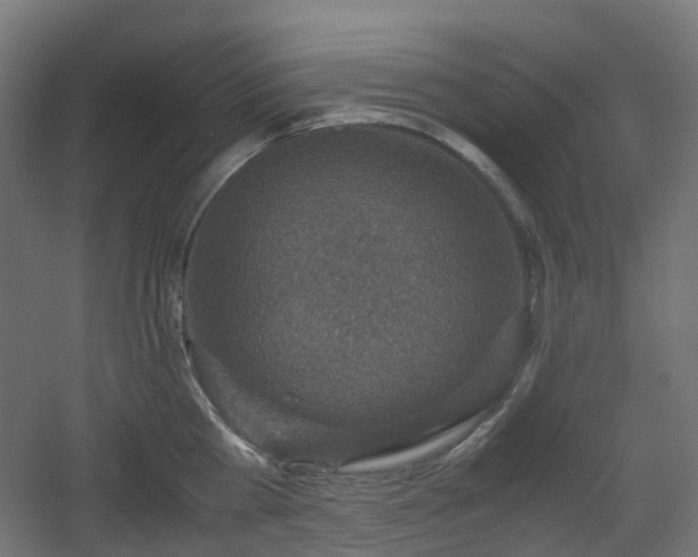 X0000060550809200511031215