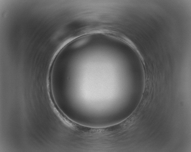 X0000060550811200511031215
