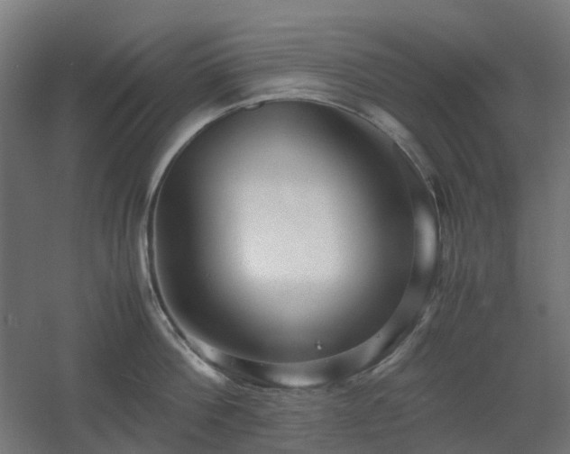 X0000060550812200511031215