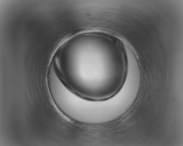 X0000060550813200511031215
