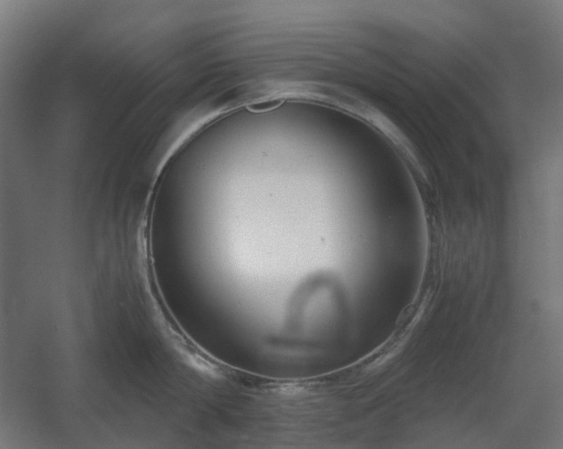 X0000060550814200511031215