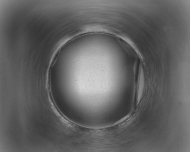 X0000060550815200511031215
