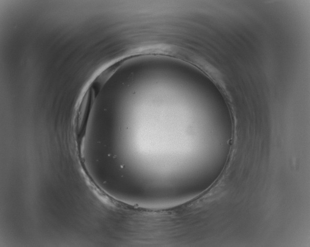 X0000060550816200511031215