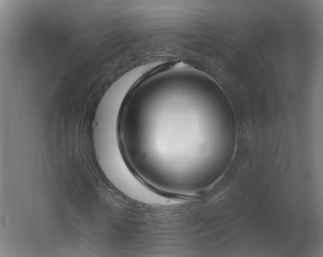 X0000060550818200511031214