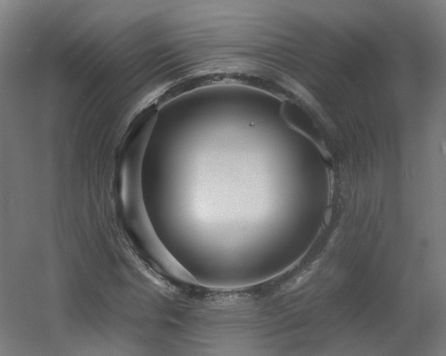 X0000060550826200511031214