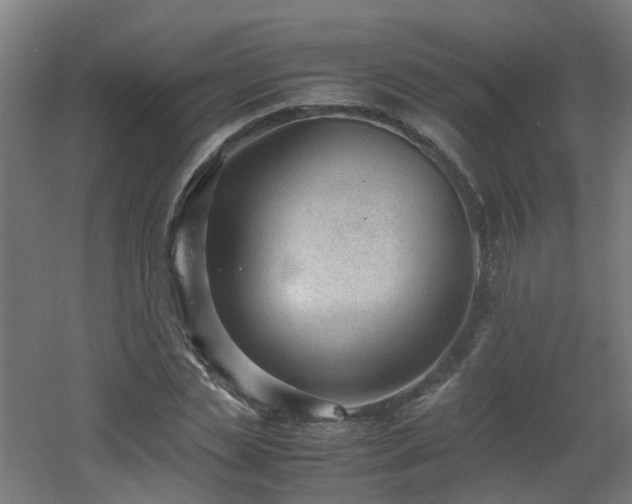 X0000060550829200511031214