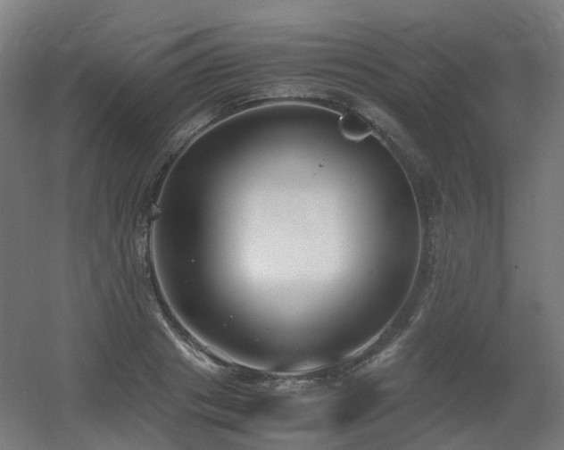 X0000060550841200511031215