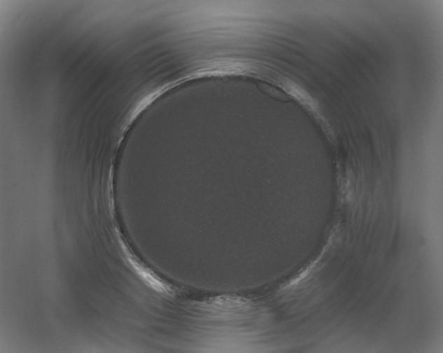 X0000060550842200511031215
