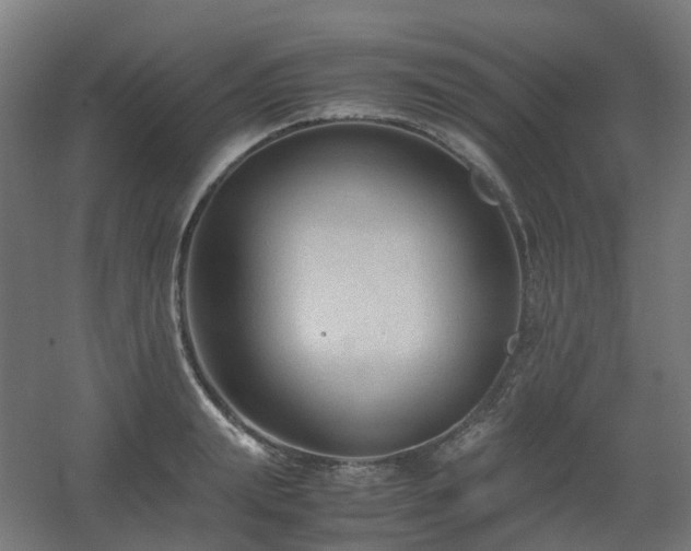 X0000060550847200511031215
