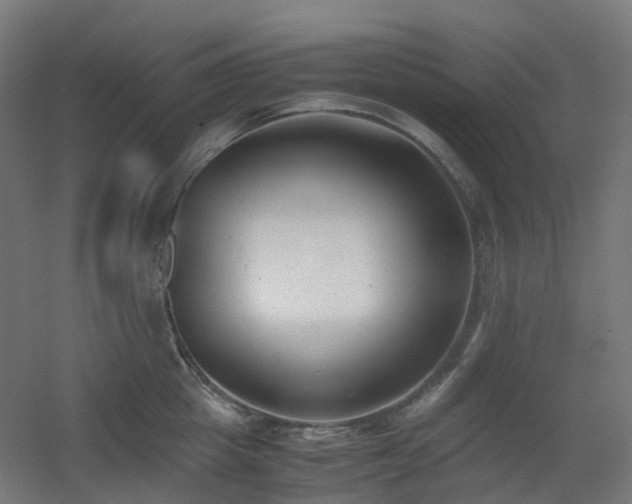 X0000060550857200511031215
