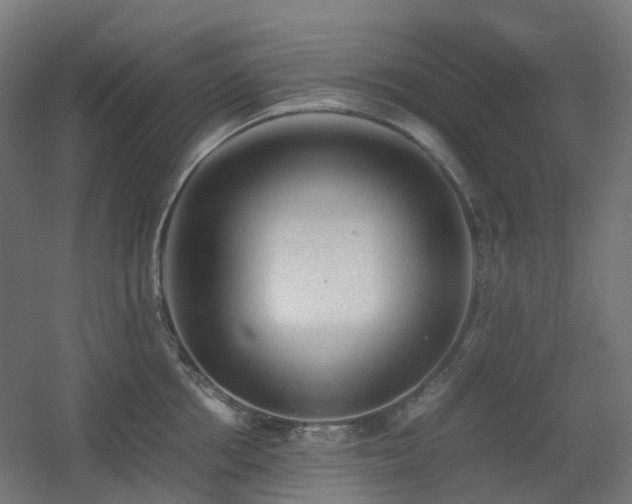 X0000060550858200511031215