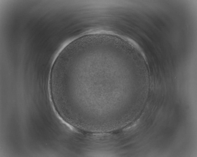X0000060550863200511031215