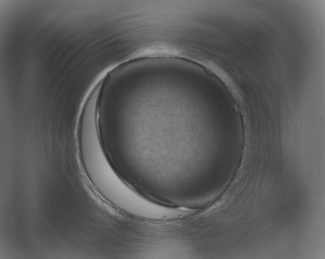 X0000060550864200511031215