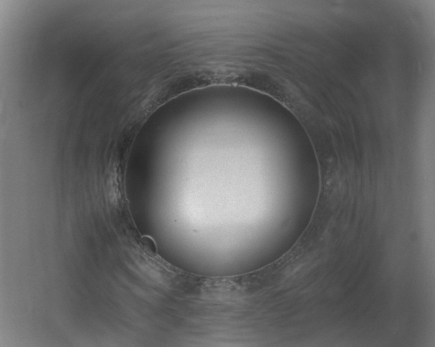 X0000060550866200511031214