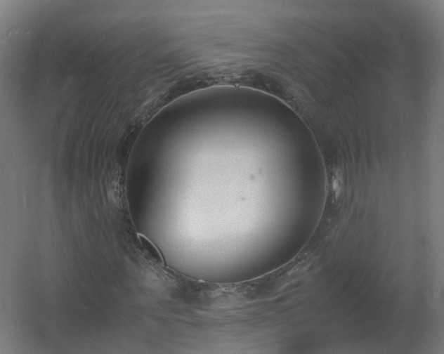 X0000060550867200511031214