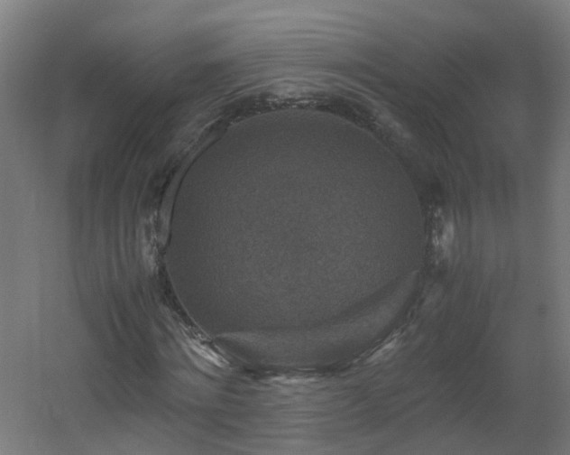 X0000060550868200511031214