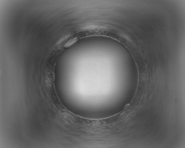 X0000060550869200511031214