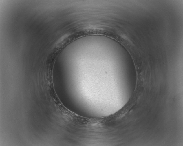 X0000060550870200511031214