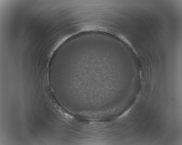 X0000060550877200511031214