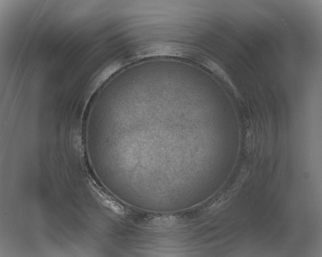 X0000060550882200511031214