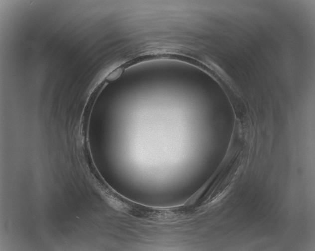 X0000060550885200511031214