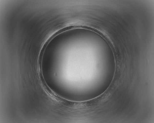 X0000060550887200511031214