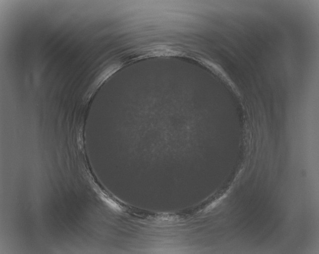 X0000060550889200511031214
