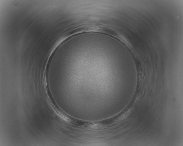 X0000060550891200511031214