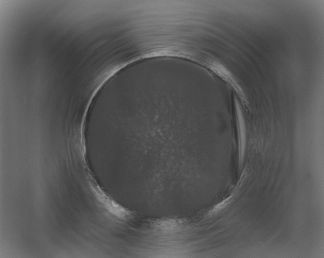 X0000060550892200511031214