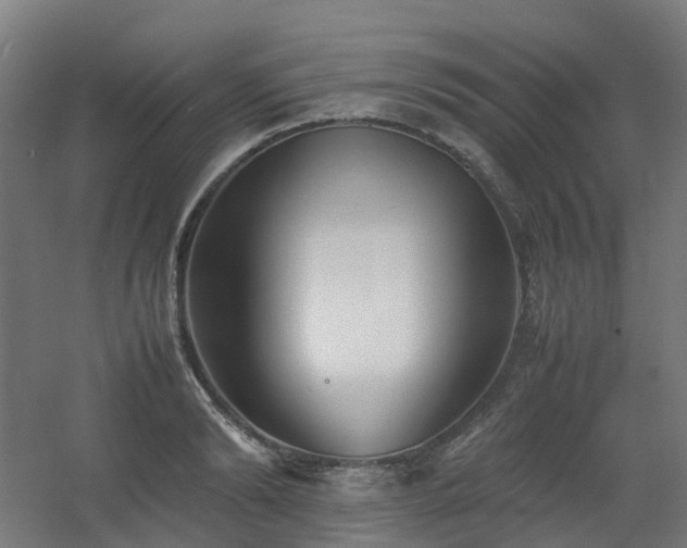 X0000060550894200511031214