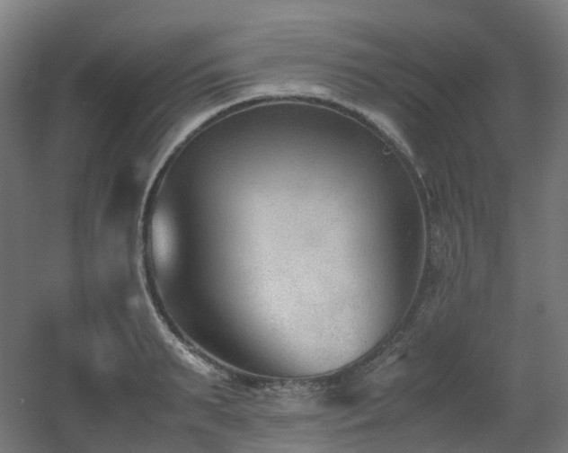 X0000060550895200511031214