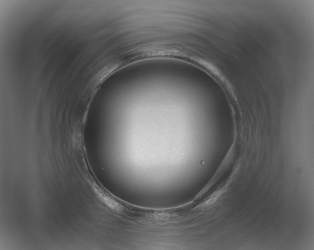 X0000060550897200511031214