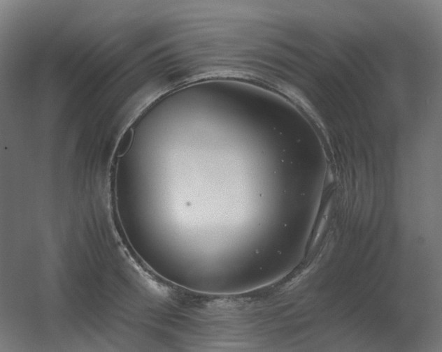 X0000060550898200511031214