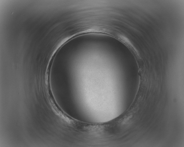 X0000060550900200511031214