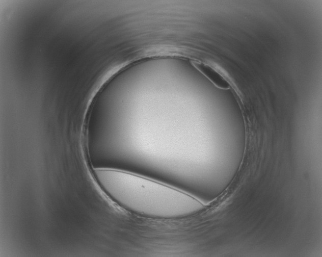 X0000060550901200511031214