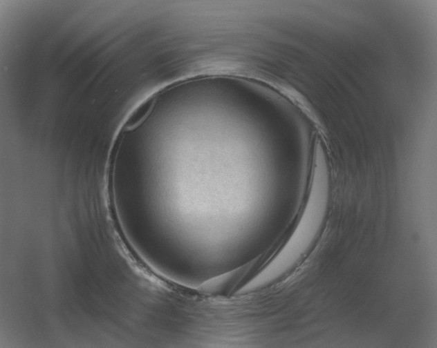 X0000060550904200511031213