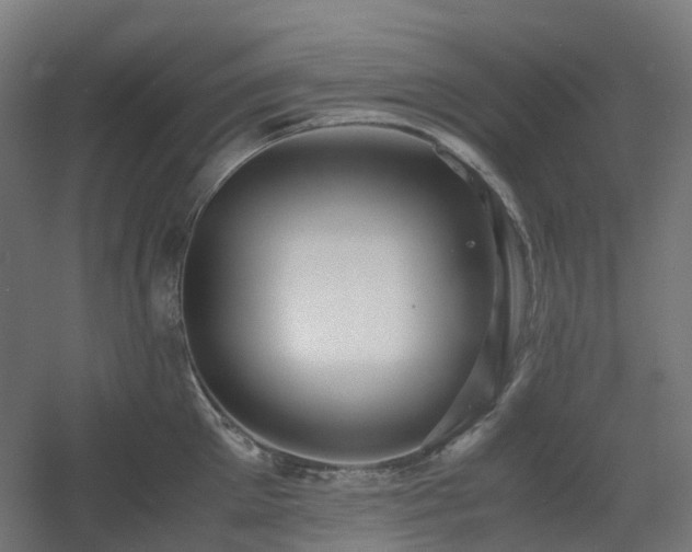 X0000060550905200511031213