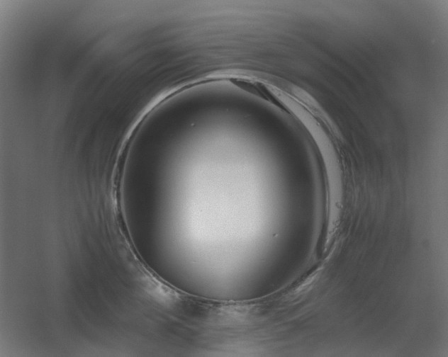X0000060550908200511031213
